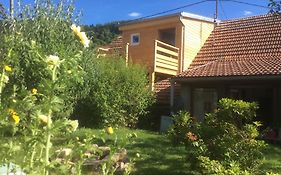 Gite De Montagne -Bellefosse Alsace