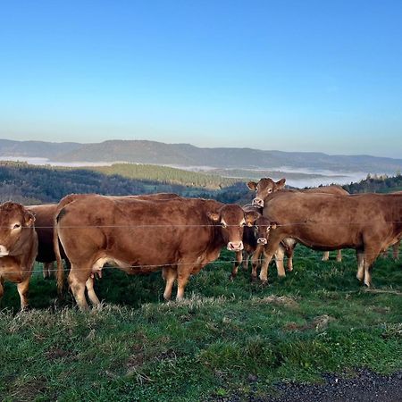 Gite De Montagne -Bellefosse Alsace Buitenkant foto