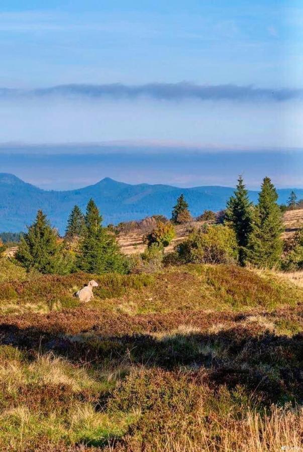 Gite De Montagne -Bellefosse Alsace Buitenkant foto