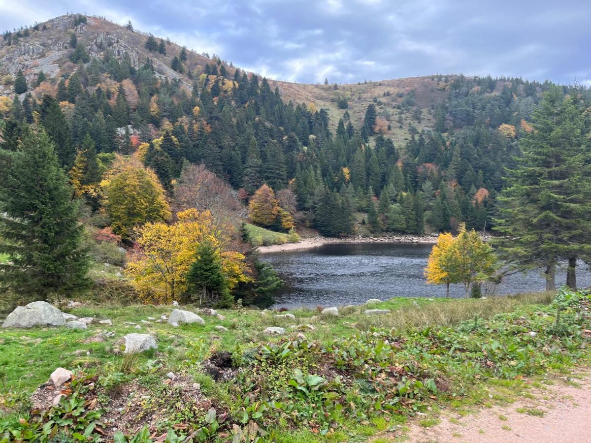 Gite De Montagne -Bellefosse Alsace Buitenkant foto