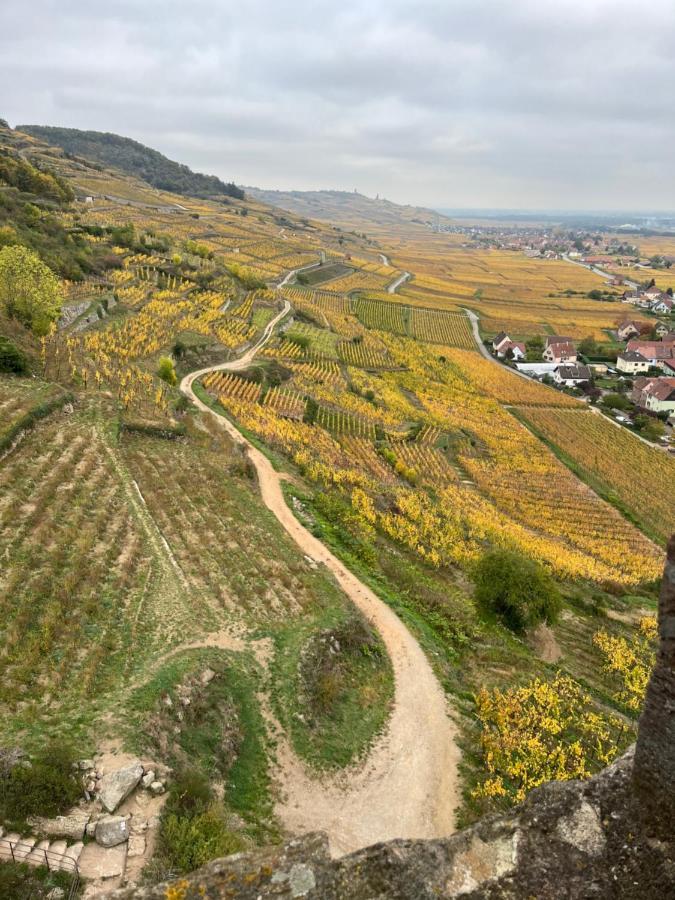 Gite De Montagne -Bellefosse Alsace Buitenkant foto