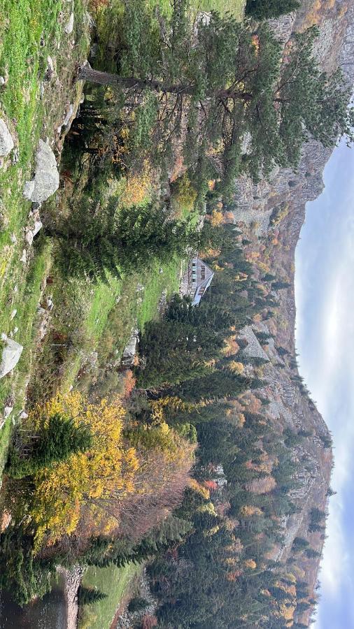 Gite De Montagne -Bellefosse Alsace Buitenkant foto