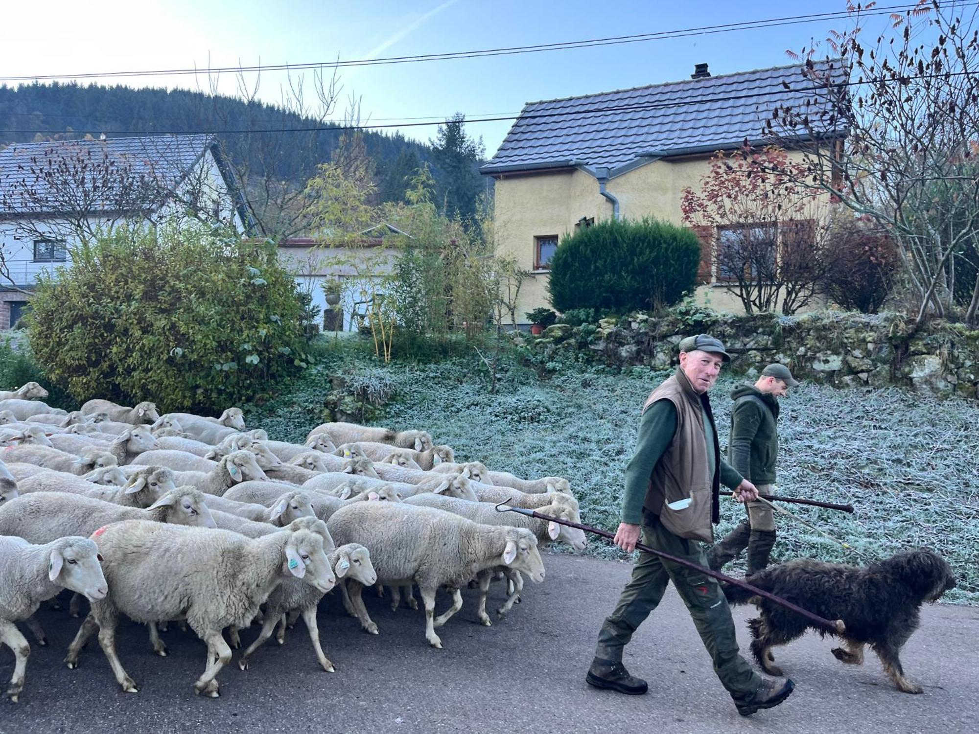 Gite De Montagne -Bellefosse Alsace Buitenkant foto